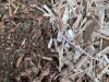 Unterschiedliche Brennstoffe aus Waldschnittabfällen und Restholzabfällen
