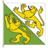 Fahne vom Schweizer Kanton St. Gallen, schräg geteilt von weiss und Grün mit zwei rotgezungten goldenen Löwen.